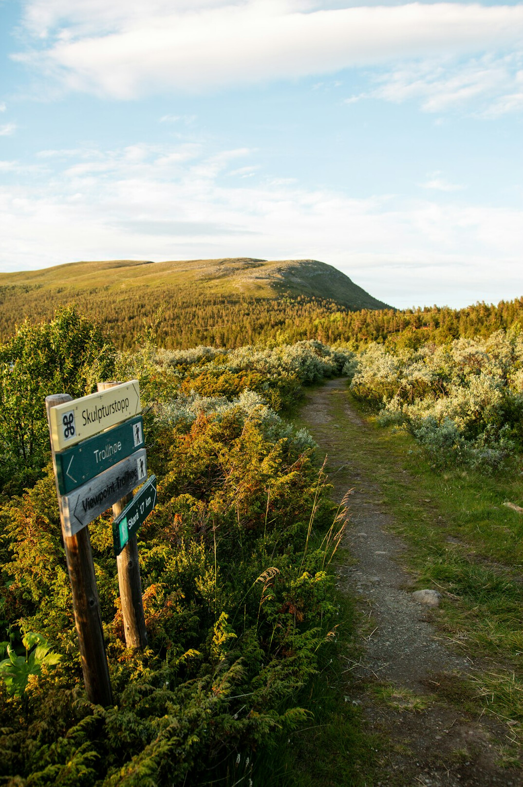 Rolling green hills with a hiking path and wooden signpost