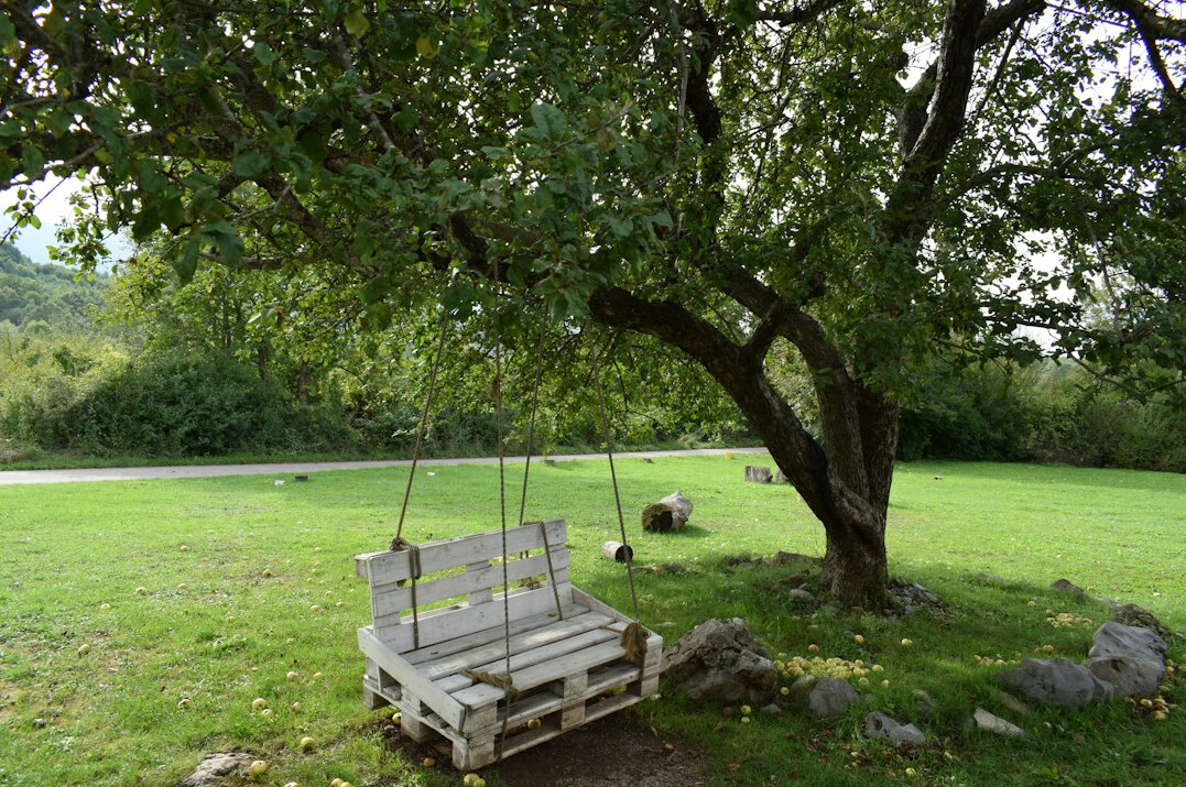 Wooden garden bench under an apple tree in late summer